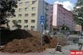 Chválenická ulice_červenec_foto QAP (5)