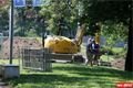 štruncovy sady_7_2014_foto QAP (1)