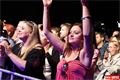 IN FEST (44)