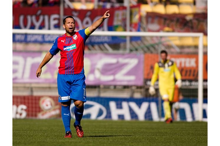 Pribram3 Pribram3