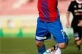 Pribram9