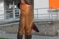 SDC12729