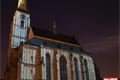 Magický kolotoč a projekce na katedrálu_QAP_foto (7)