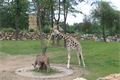 zoo 013