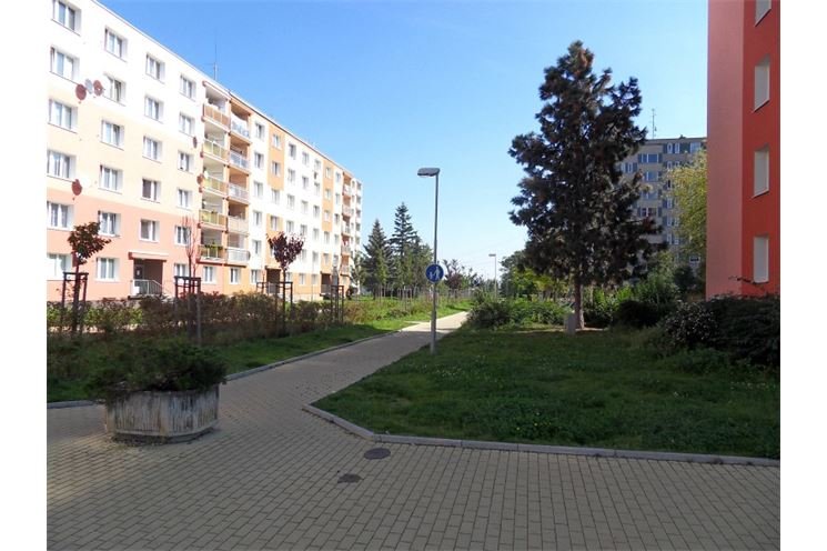 SDC13591 SDC13591