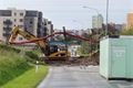 Kolony kolem Velkého boleveckého rybníku_QAP_foto (9)