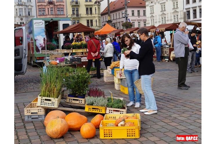 Plzeňské farmářské trhy_QAP_foto (7)