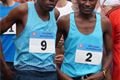 Plzeňský půlmaraton_QAP_foto (35)