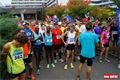 Plzeňský půlmaraton_QAP_foto (36)