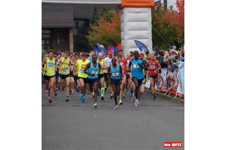 Plzeňský půlmaraton_QAP_foto (41)