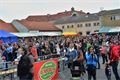 Pilsner fest 2014 (12)