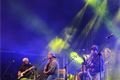 Pilsner fest 2014 (44)
