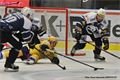 HC Škoda Plzeň - Zlín_foto_Pavel Němeček (10)