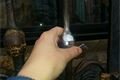 20141015_103053_resized