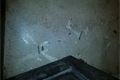 20141017_205150_resized