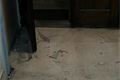 20141017_210216_resized