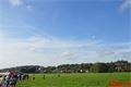 DSC_1199