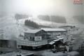 šumava_javor_foto_www.arber.de