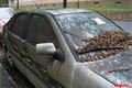 Autovraky v ulicích_QAP_foto (11)