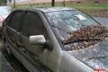 Autovraky v ulicích_QAP_foto (11)