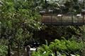 Tropical Island (1)