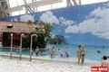 Tropical Island (3)
