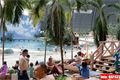 Tropical Island (11)