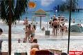 Tropical Island (12)