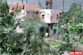 Tropical Island (13)