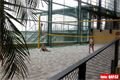 Tropical Island (15)
