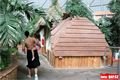 Tropical Island (17)