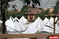 Tropical Island (20)
