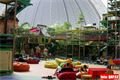 Tropical Island (22)