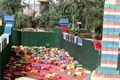 Tropical Island (23)