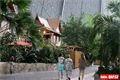 Tropical Island (25)