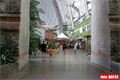 Tropical Island (29)