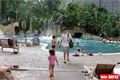 Tropical Island (30)