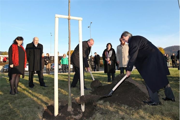 TZ_Bartelt_Löffler_sázení stromů