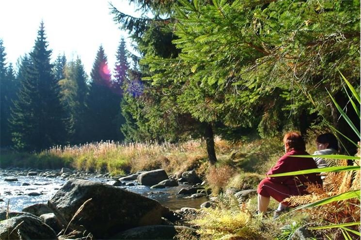 Šumava - Antýgl992 Šumava - Antýgl992
