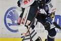 HC Škoda Plzeň - Bílí Tygři Liberec_Pavel Němeček (3)