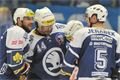 HC Škoda Plzeň - Bílí Tygři Liberec_Pavel Němeček (10)