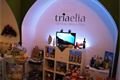 Obchod Triaelia_QAP_foto (7)