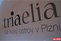 Obchod Triaelia_QAP_foto (8)