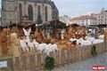 Příprava na trhy_QAP_foto (1)