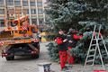 Příprava na trhy_QAP_foto (4)