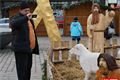 Příprava na trhy_QAP_foto (11)