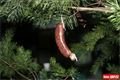 Přeštická Kaťuša _Parkán _26_11_2014 (11)