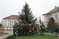 plzeňský Prazdroj_ Vánoční strom