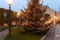 plzeňský Prazdroj_ Vánoční strom (2)