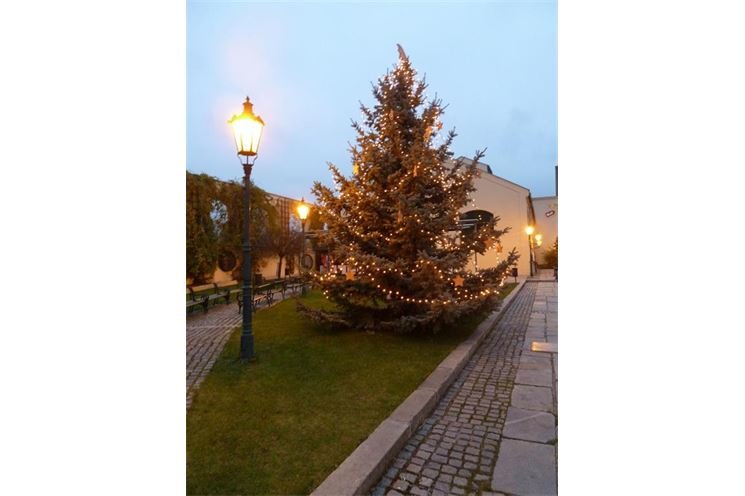 plzeňský Prazdroj_ Vánoční strom (2)